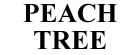 Logo Peach Tree